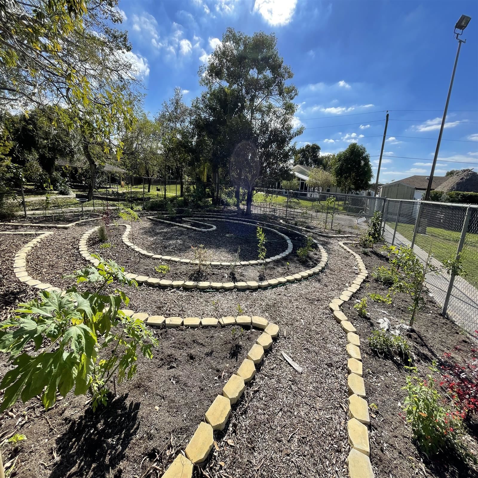 picture of our food forest picture of our food forest